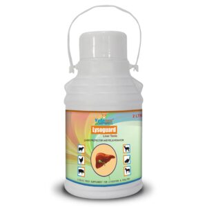 Lysoguard - Liver Tonic for Cattle